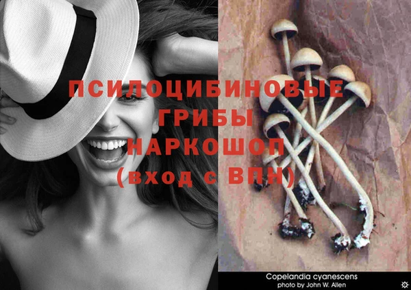 стафф Баксан
