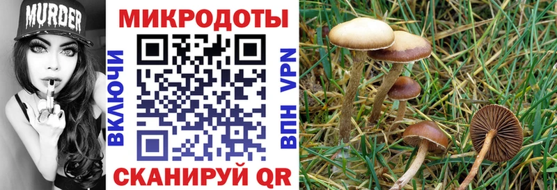 Галлюциногенные грибы прущие грибы  Богданович 