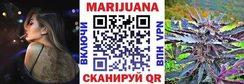 блэк спрут онион  Богданович  Марихуана ГИДРОПОН 